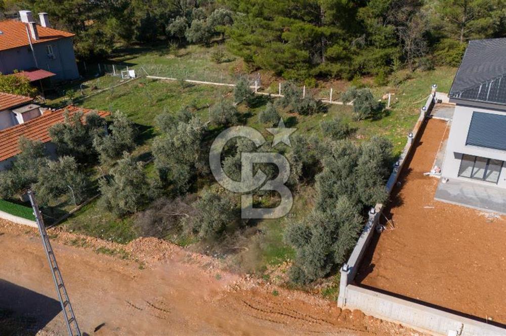 CB MARİNA'DAN GÜLAĞZI'NDA 600 M2 VİLLA İMARLI SATILIK ARSA