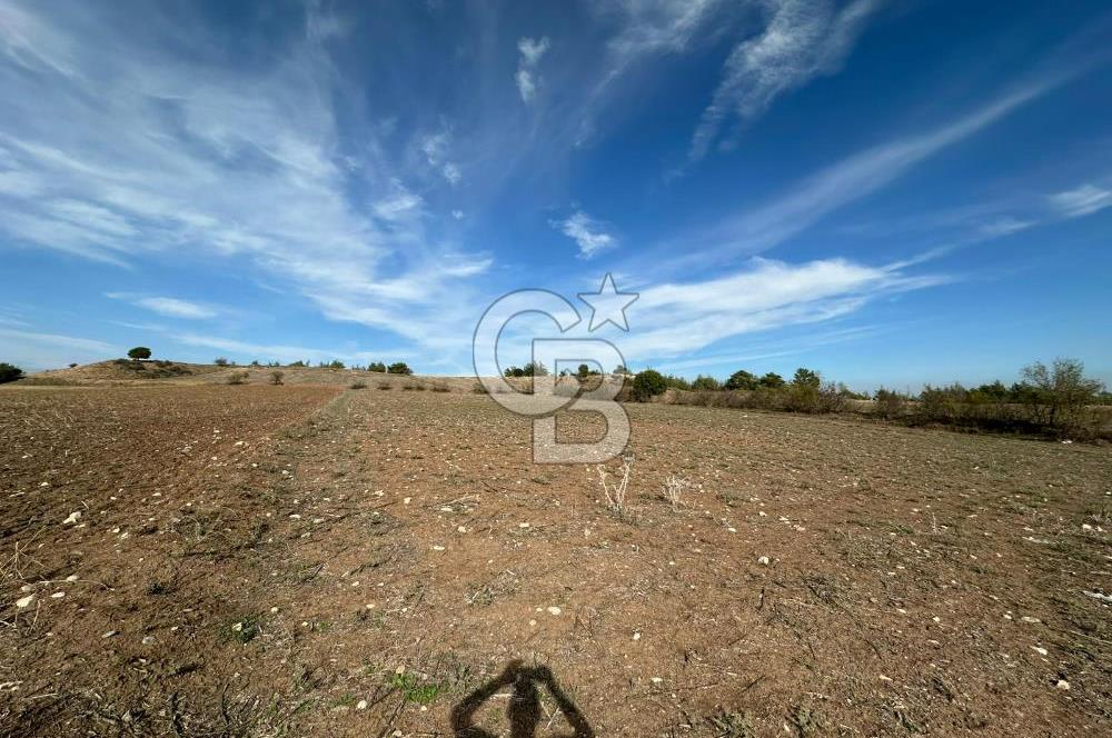 Karaisalı Salbaş Kuzgun da Satılık Arazi