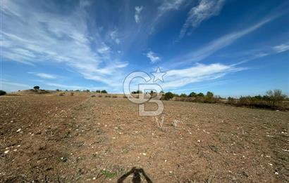Karaisalı Salbaş Kuzgun da Satılık Arazi