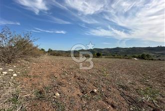 Karaisalı Salbaş Kuzgun da Satılık Arazi