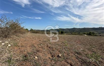 Karaisalı Salbaş Kuzgun da Satılık Arazi