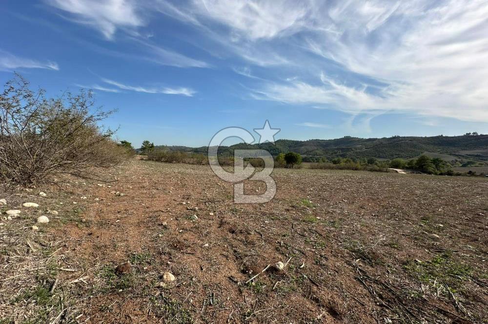 Karaisalı Salbaş Kuzgun da Satılık Arazi