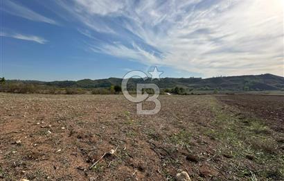 Karaisalı Salbaş Kuzgun da Satılık Arazi