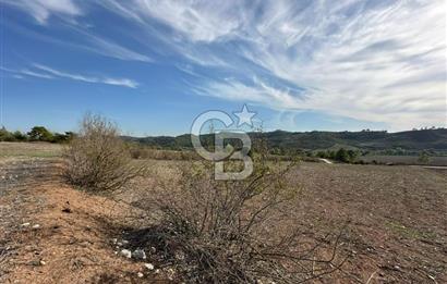Karaisalı Salbaş Kuzgun da Satılık Arazi