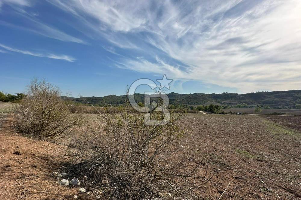 Karaisalı Salbaş Kuzgun da Satılık Arazi