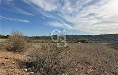 Karaisalı Salbaş Kuzgun da Satılık Arazi