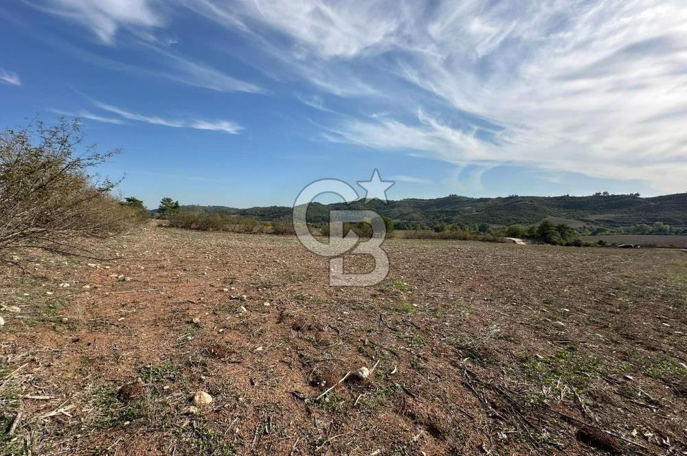 Karaisalı Salbaş Kuzgun da Satılık Arazi