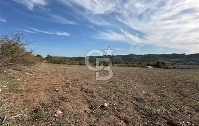 Karaisalı Salbaş Kuzgun da Satılık Arazi