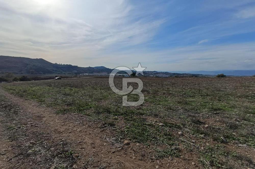 Karaisalı Salbaş Kuzgun da Satılık Arazi