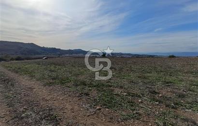 Karaisalı Salbaş Kuzgun da Satılık Arazi