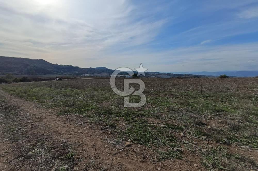 Karaisalı Salbaş Kuzgun da Satılık Arazi