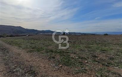 Karaisalı Salbaş Kuzgun da Satılık Arazi