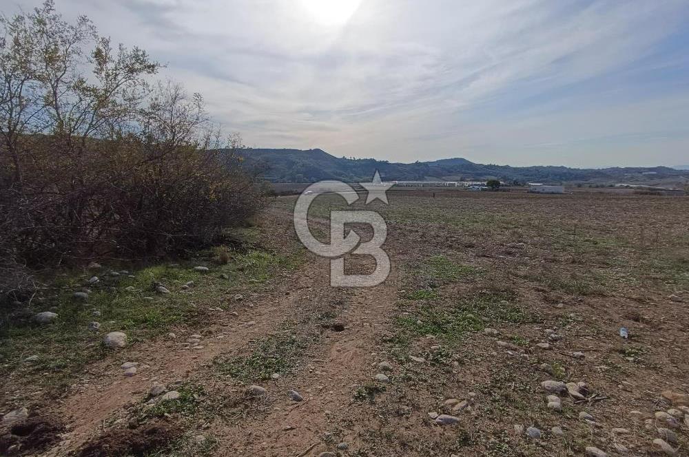 Karaisalı Salbaş Kuzgun da Satılık Arazi