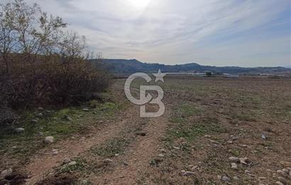 Karaisalı Salbaş Kuzgun da Satılık Arazi