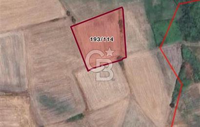 ÇANAKKALE BİGA ÖRTÜLÜCE SANAYİ,LİMAN PROJESİNE YAKIN YATIRIMLIK