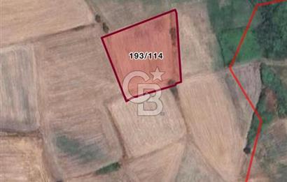 ÇANAKKALE BİGA ÖRTÜLÜCE SANAYİ,LİMAN PROJESİNE YAKIN YATIRIMLIK