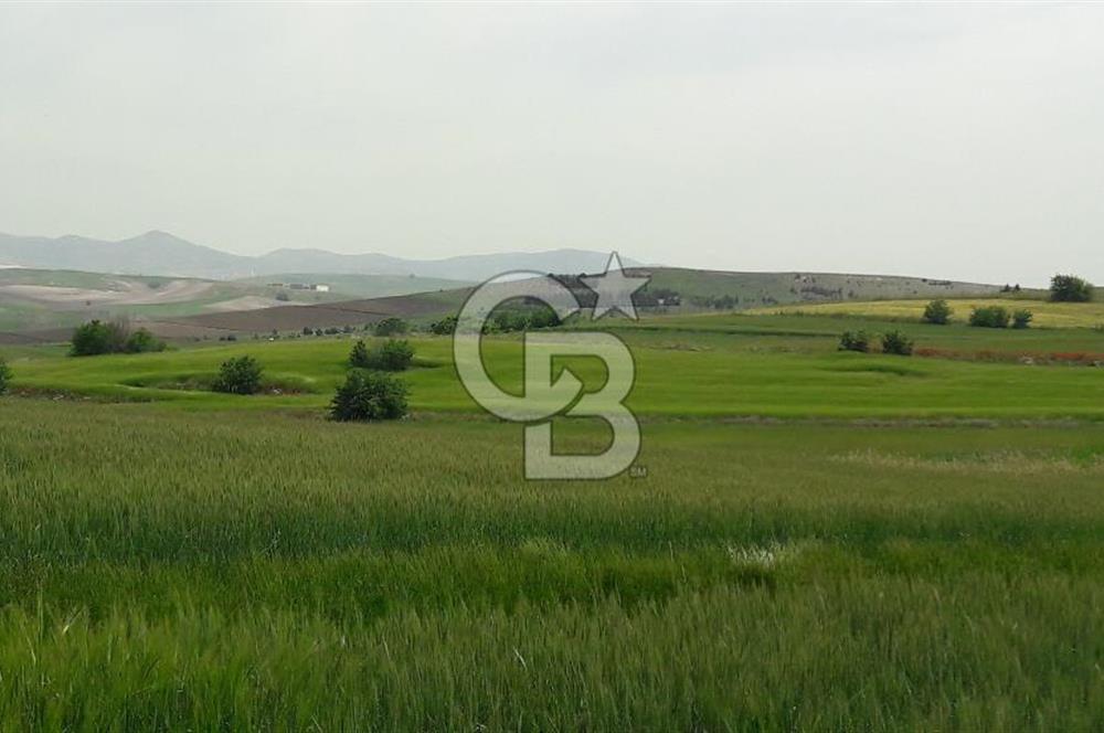 YENİMAHALLE SUSUZ ATA MAHALLESİ BELÖREN PROJESİ İMARDA HİSSELER