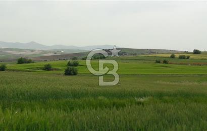 YENİMAHALLE SUSUZ ATA MAHALLESİ BELÖREN PROJESİ İMARDA HİSSELER