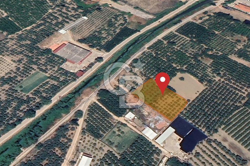 Barakfakih Köy İçinde İmar Planında Fırsat Arazi