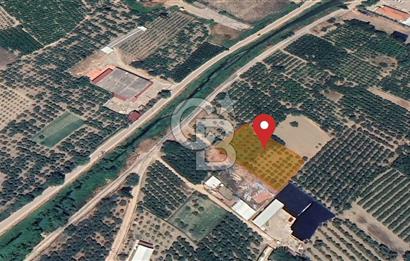 Barakfakih Köy İçinde İmar Planında Fırsat Arazi