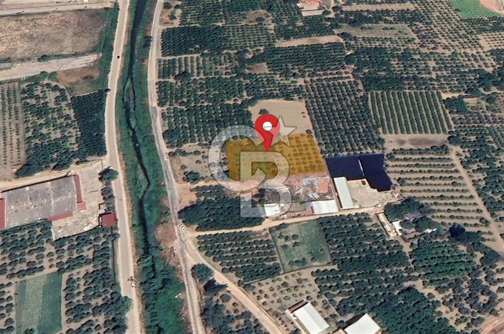 Barakfakih Köy İçinde İmar Planında Fırsat Arazi