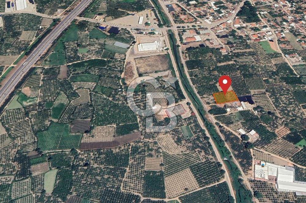 Barakfakih Köy İçinde İmar Planında Fırsat Arazi