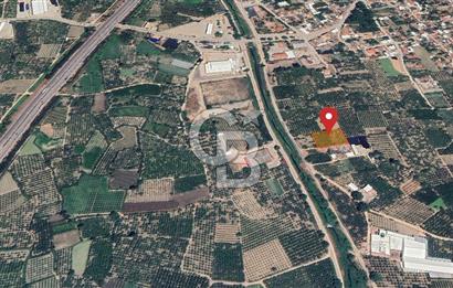 Barakfakih Köy İçinde İmar Planında Fırsat Arazi