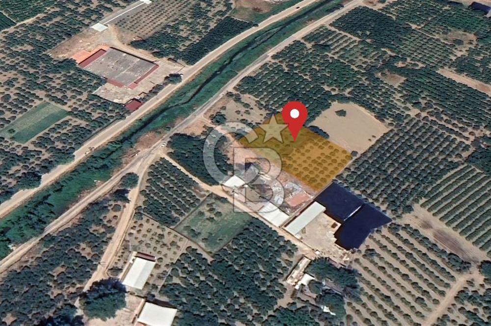 Barakfakih Köy İçinde İmar Planında Fırsat Arazi