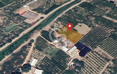 Barakfakih Köy İçinde İmar Planında Fırsat Arazi