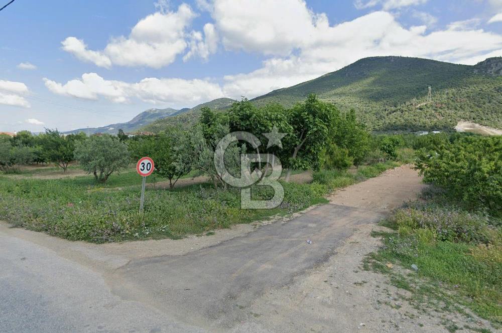 Barakfakih Köy İçinde İmar Planında Fırsat Arazi