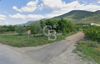 Barakfakih Köy İçinde İmar Planında Fırsat Arazi