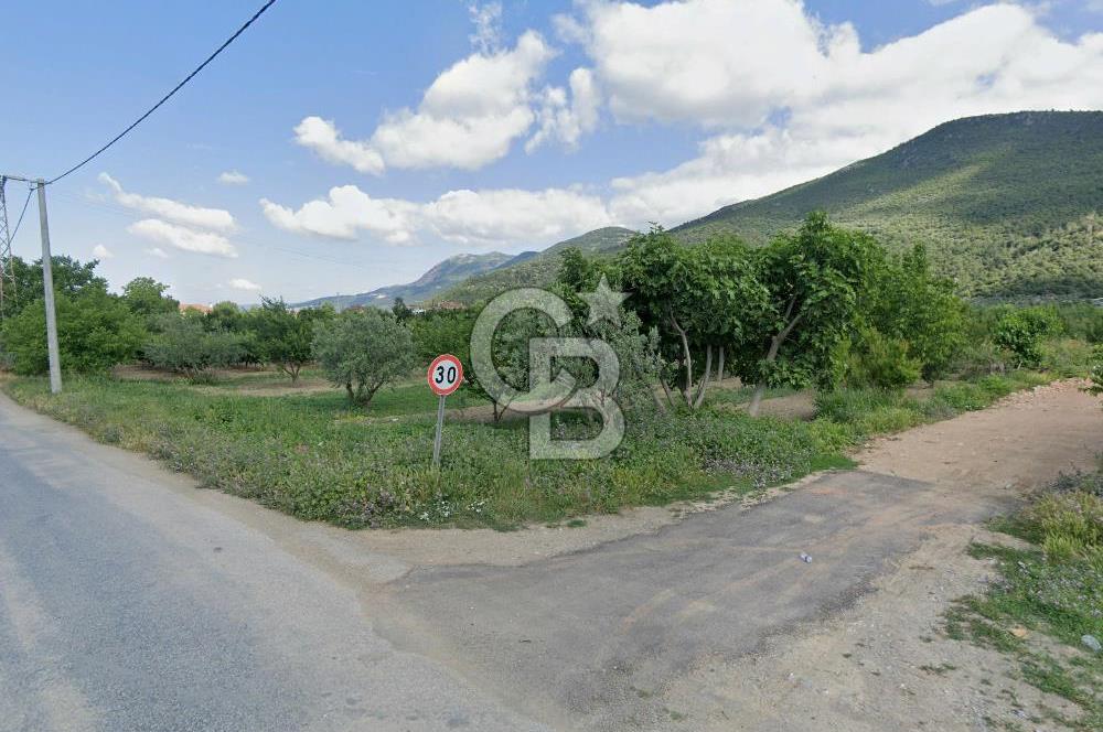 Barakfakih Köy İçinde İmar Planında Fırsat Arazi