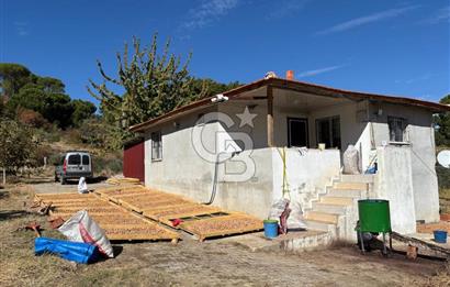 Manisa Gördes 37 Dönüm Anahtar Teslim Ceviz Zeytin Çiftliği