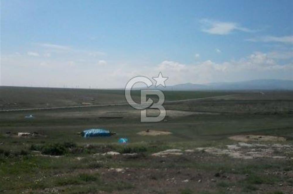 Konya Kıllar Mahallesinde Satılık Yüksek Dönümlü Tarla