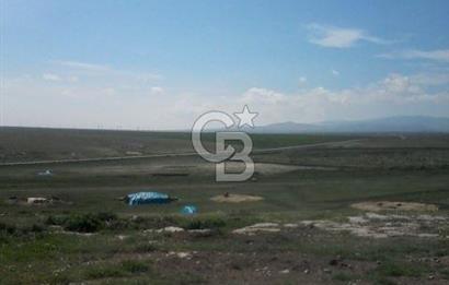 Konya Kıllar Mahallesinde Satılık Yüksek Dönümlü Tarla