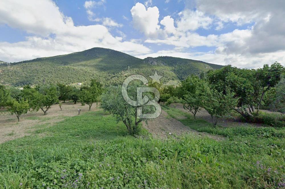 Barakfakih Köy İçinde İmar Planında Fırsat Arazi