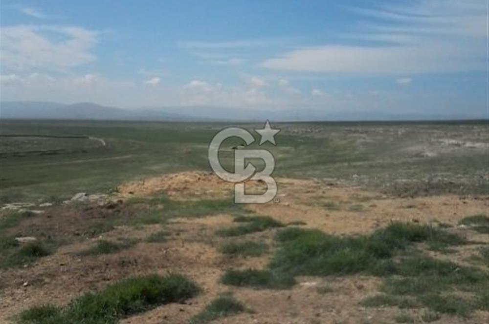 Konya Kıllar Mahallesinde Satılık Yüksek Dönümlü Tarla