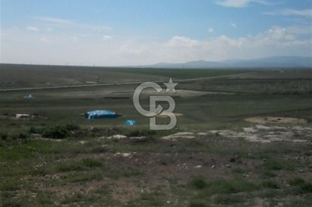 Konya Kıllar Mahallesinde Satılık Yüksek Dönümlü Tarla