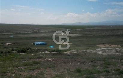 Konya Kıllar Mahallesinde Satılık Yüksek Dönümlü Tarla