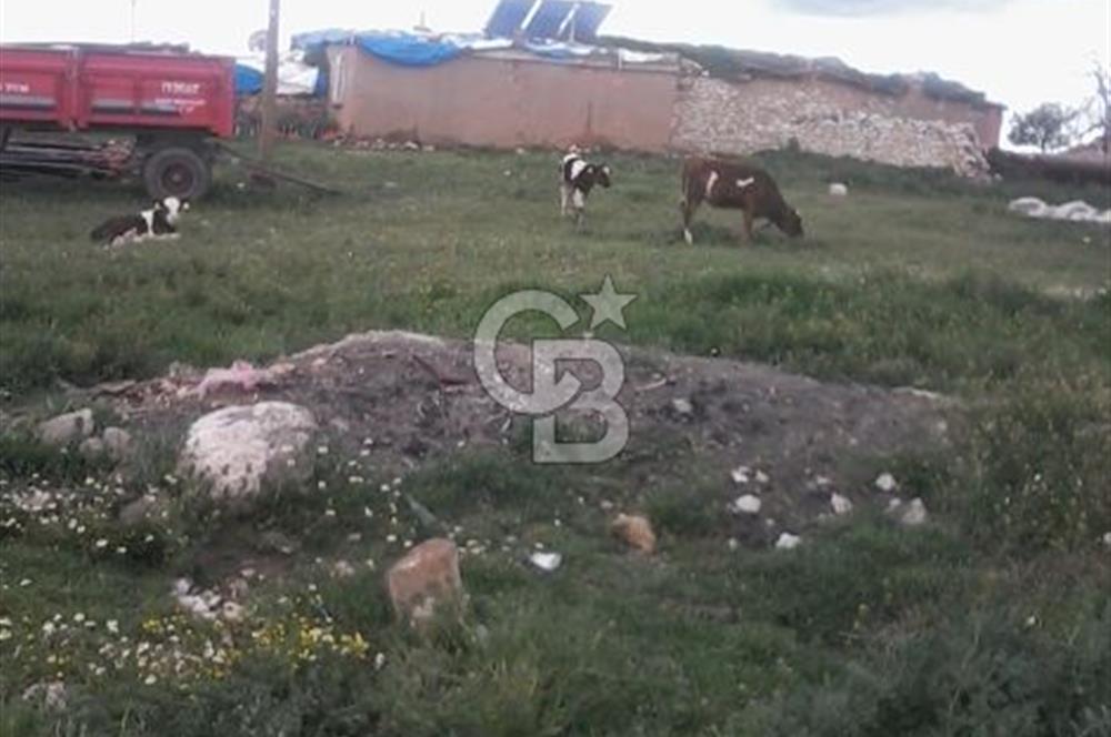 Konya Kıllar Mahallesinde Satılık Yüksek Dönümlü Tarla