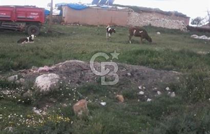 Konya Kıllar Mahallesinde Satılık Yüksek Dönümlü Tarla