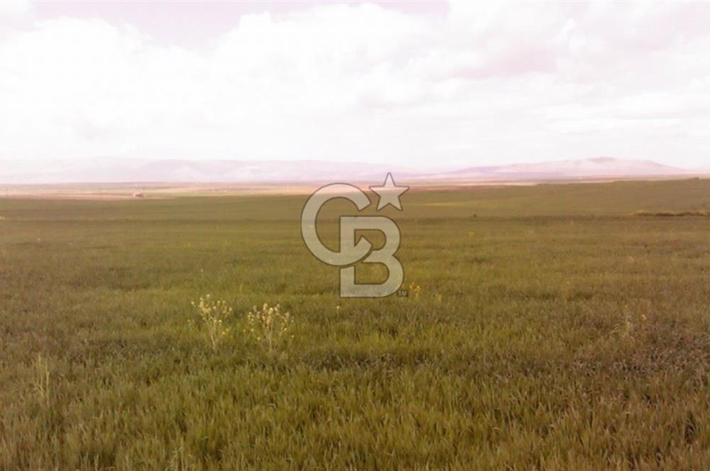 Konya Kıllar Mahallesinde Satılık Yüksek Dönümlü Tarla