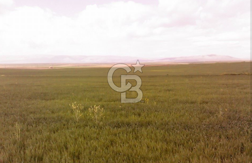 Konya Kıllar Mahallesinde Satılık Yüksek Dönümlü Tarla