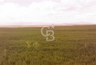 Konya Kıllar Mahallesinde Satılık Yüksek Dönümlü Tarla - 8 - 310827