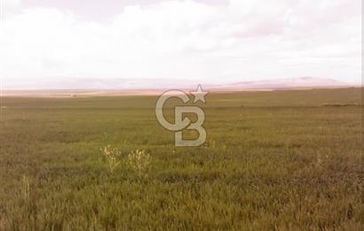 Konya Kıllar Mahallesinde Satılık Yüksek Dönümlü Tarla