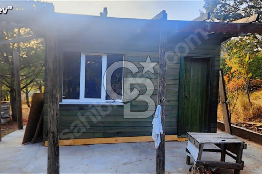 ÇANAKKALE/MERKEZ SALİHLERDE KÖYE 100M.4869M² FISTIK ÇAMI BAHÇESİ