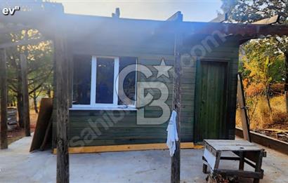 ÇANAKKALE/MERKEZ SALİHLERDE KÖYE 100M.4869M² FISTIK ÇAMI BAHÇESİ