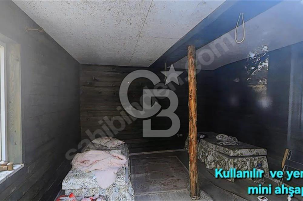 ÇANAKKALE/MERKEZ SALİHLERDE KÖYE 100M.4869M² FISTIK ÇAMI BAHÇESİ