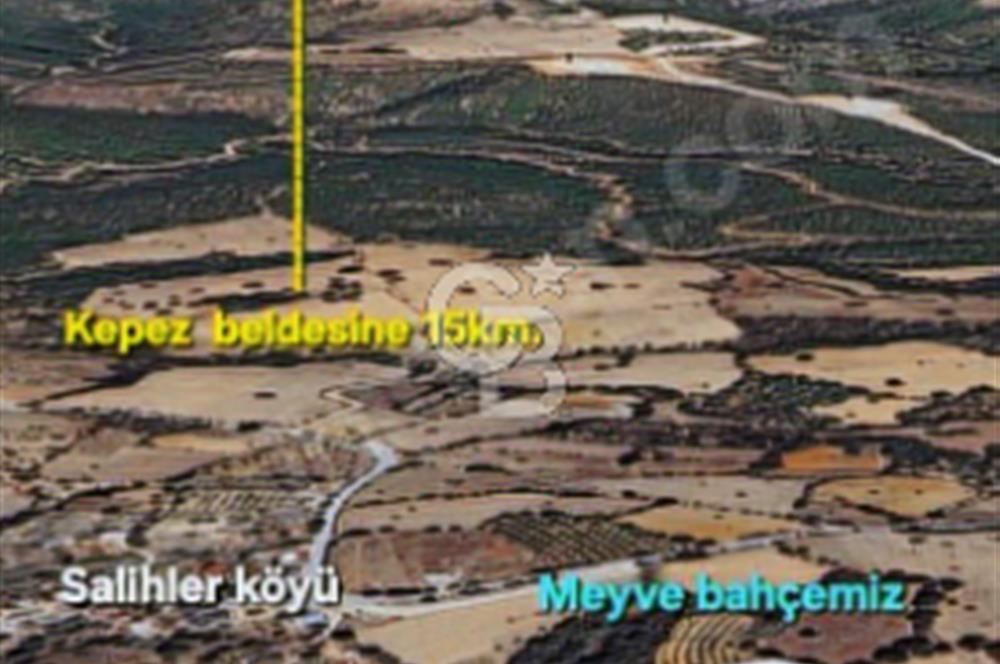 ÇANAKKALE/MERKEZ SALİHLERDE KÖYE 100M.4869M² FISTIK ÇAMI BAHÇESİ