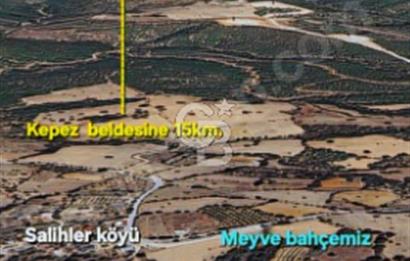 ÇANAKKALE/MERKEZ SALİHLERDE KÖYE 100M.4869M² FISTIK ÇAMI BAHÇESİ